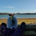 Carsington Water by roachling