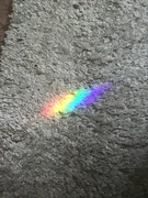 2nd Feb 2022 - Rainbow 