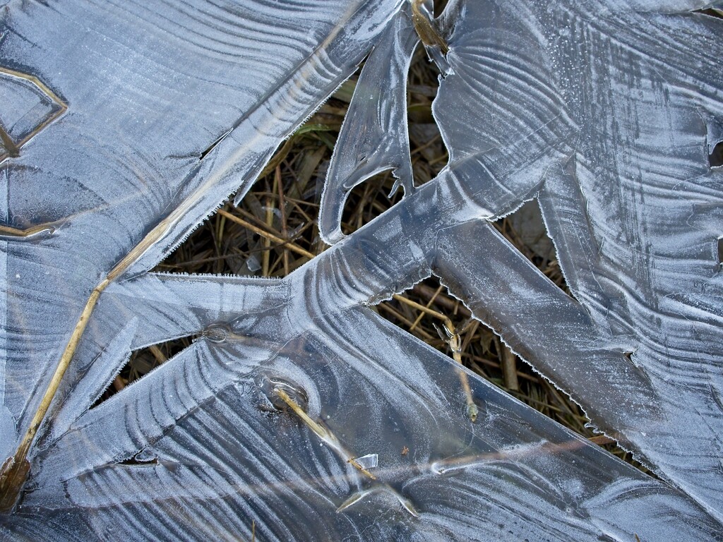 Ice Patterns by mitchell304