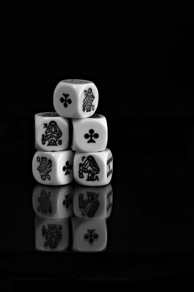 poker dice by summerfield