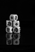 4th Feb 2022 - poker dice