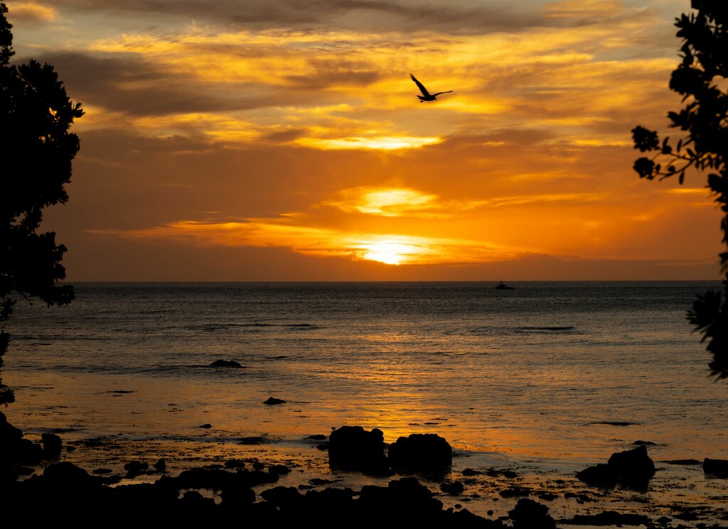 Another New Zealand sunset at Ngawi by suez1e
