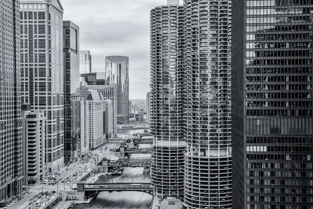 Chicago river view  by pamknowler