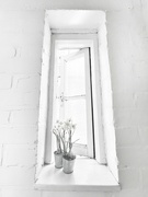 5th Feb 2022 - Flowers in the window