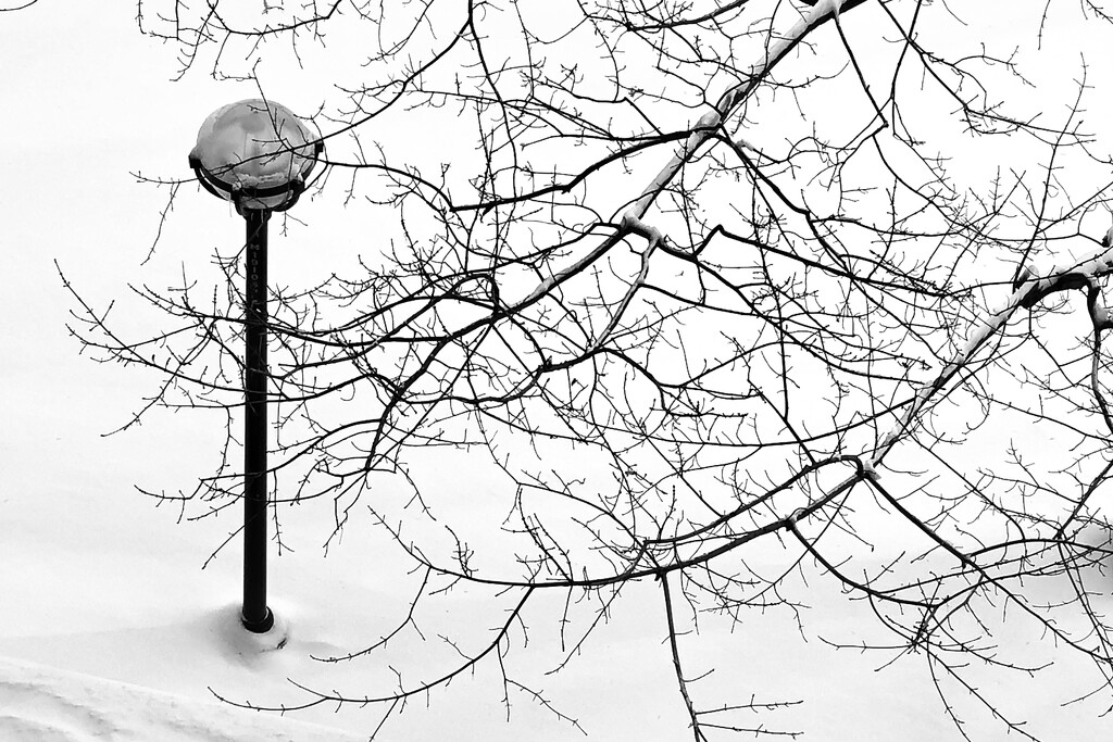 Winter by vera365
