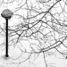 Winter by vera365