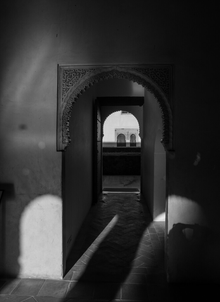 Alhambra shadows by brigette