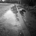 Puddle by newbank