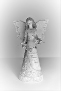 5th Feb 2022 - A Special Angel