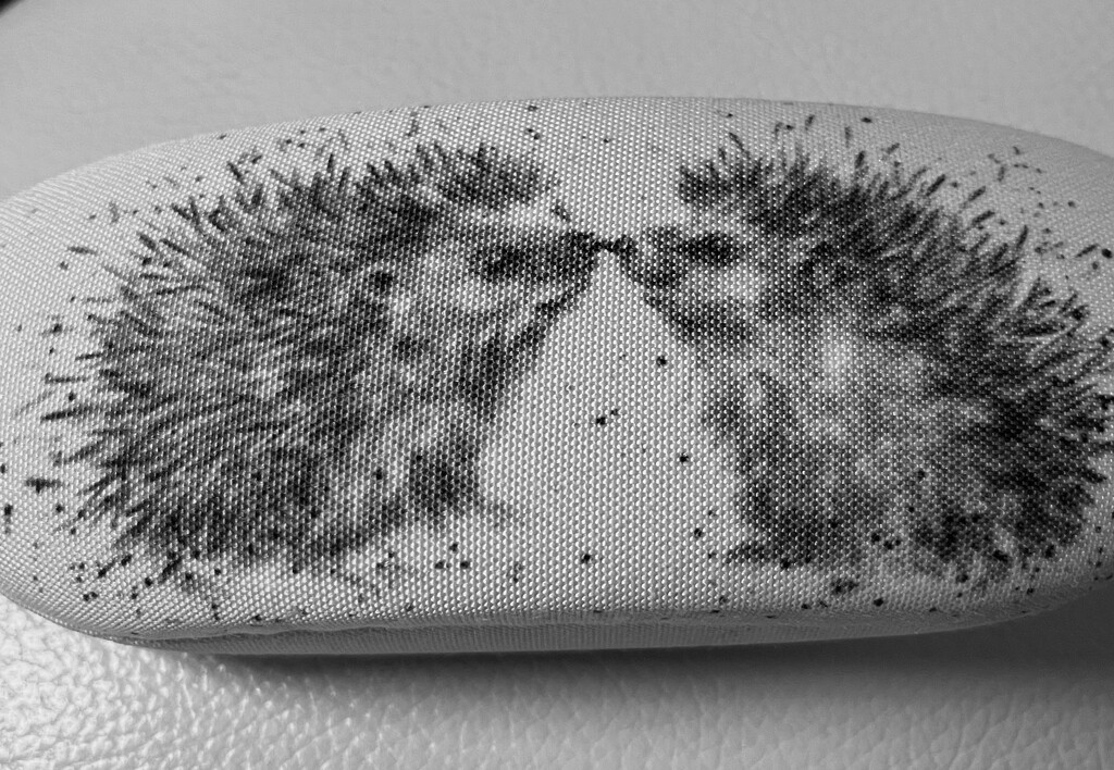 Glasses case.... by anne2013