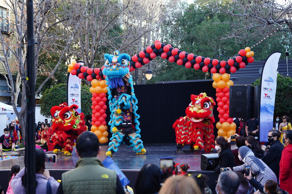 Lion Dance by acolyte
