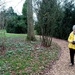 My Wife at Hare Park Chippenham near Cambridge  by g3xbm