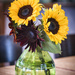 Sunflowers by dkbarnett