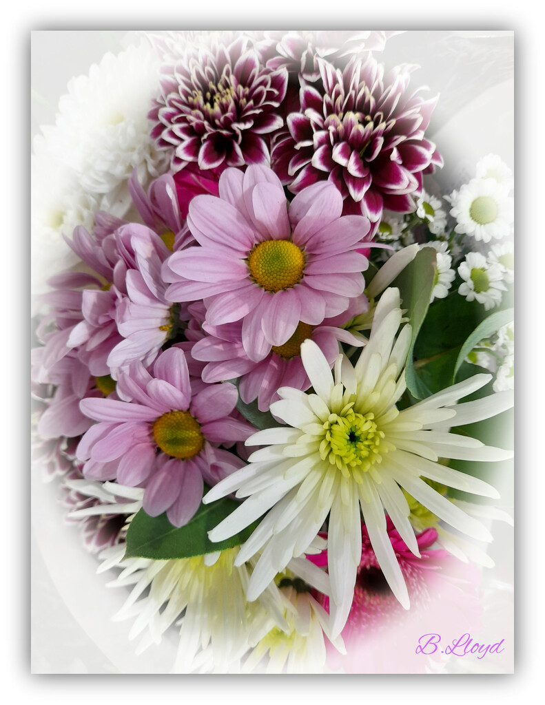 A beautiful bouquet . by beryl