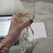 Wedding planning w/ champagne from Tess & Rae by jill2022
