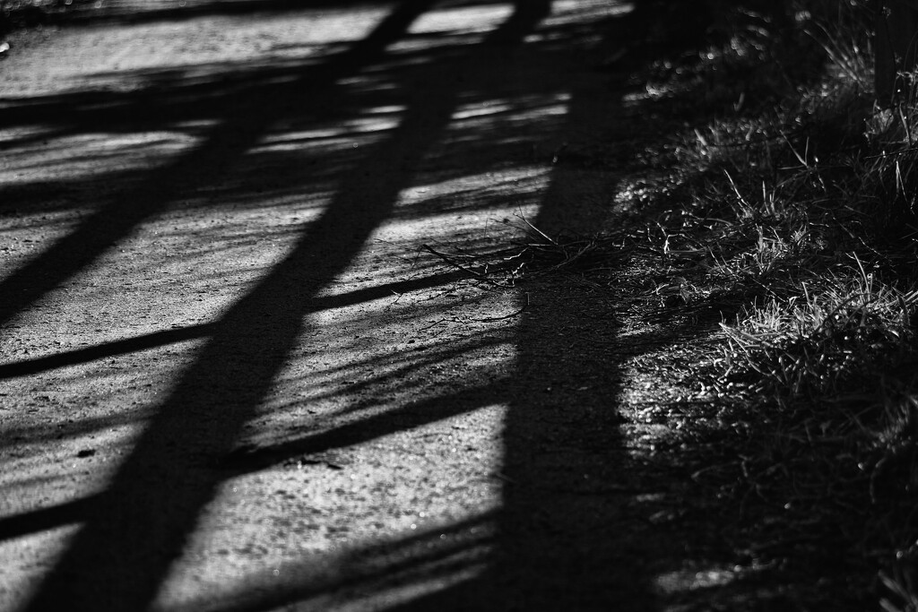 Shadows and Sunshine by jamibann