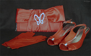 6th Feb 2022 - Red Accessories