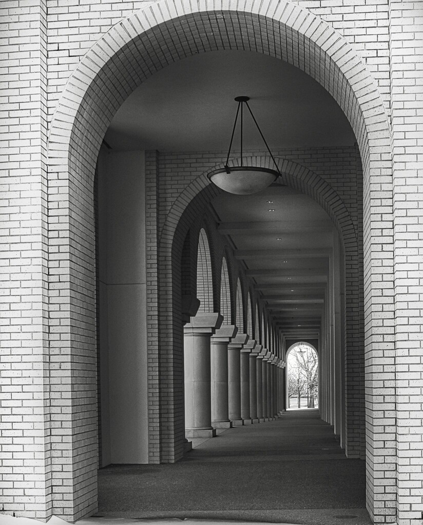 Columns in Black and White by judyc57