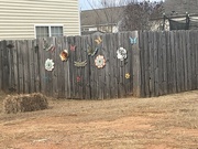 3rd Feb 2022 - Fence decorations