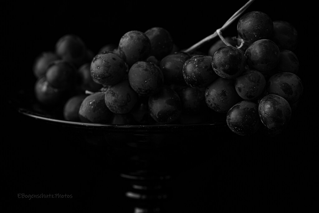 Grapes in a Dish  by theredcamera