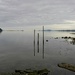 Comox Harbour by mitchell304