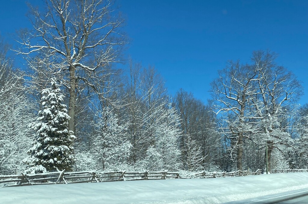 Winter Wonderland by frantackaberry