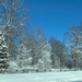 Winter Wonderland by frantackaberry