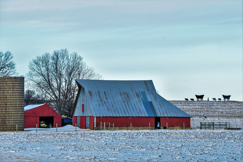 Winter Farm Scene in Kansas by kareenking