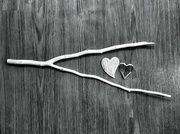 6th Feb 2022 - 2 hearts 1 stick