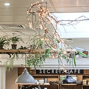 6th Feb 2022 - secret cafe