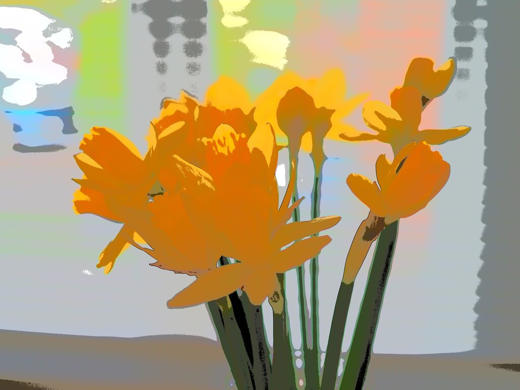 Daffodils by delboy207
