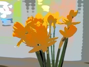 6th Feb 2022 - Daffodils