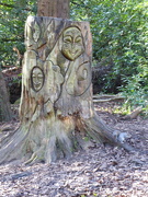6th Feb 2022 - A well carved tree trunk.