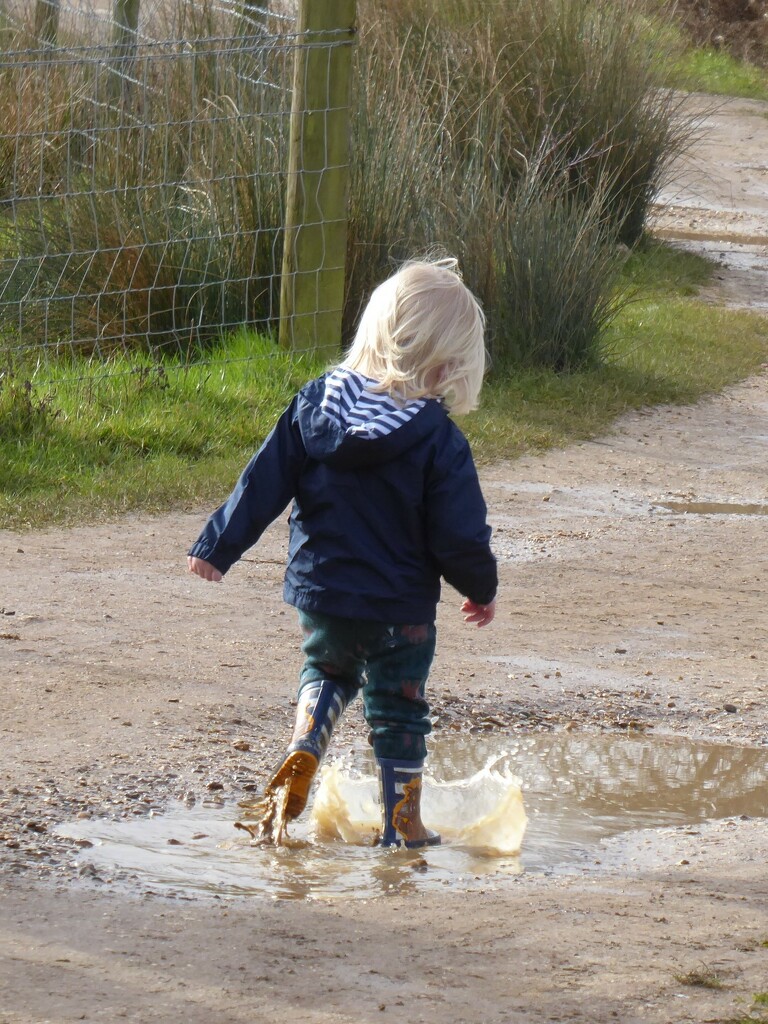 The fun of jumping in puddles by yorkshirelady