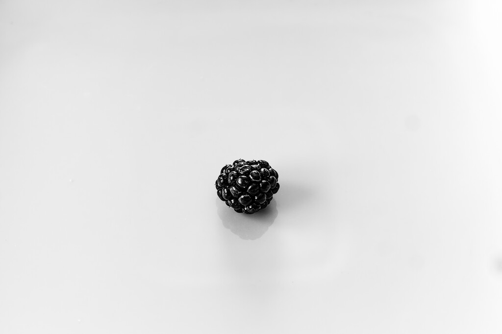 Blackberry on a White Plate by tosee