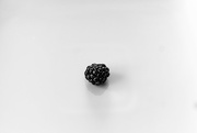 7th Feb 2022 - Blackberry on a White Plate