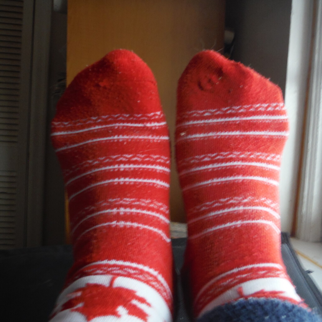 Feet #3: Colourful Socks by spanishliz