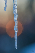 5th Feb 2022 - Icicle In Front of Setting Sun
