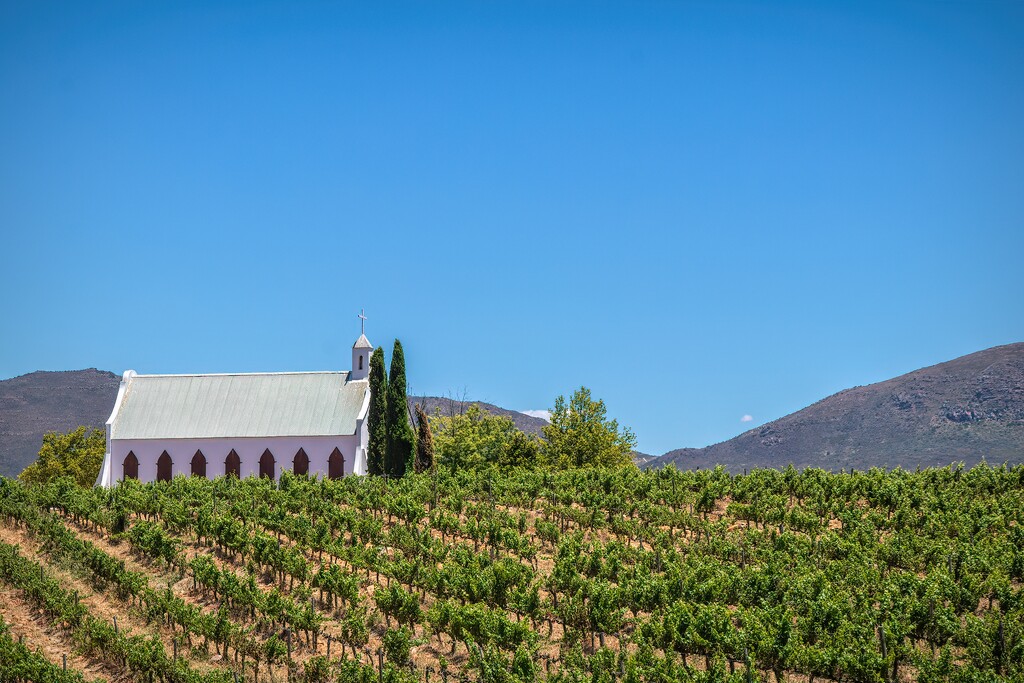 Church in the vineyards by ludwigsdiana