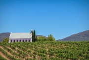 8th Feb 2022 - Church in the vineyards