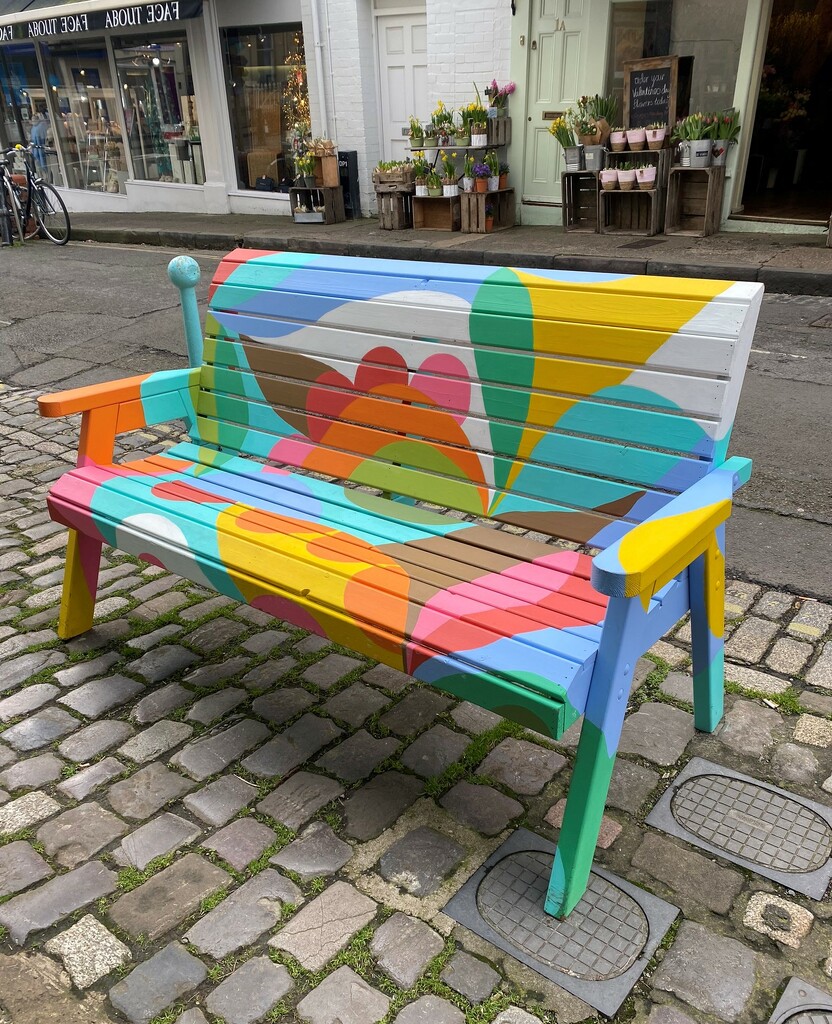 colourful bench by cam365pix