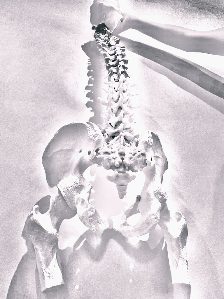 Spinal Art?  by rensala