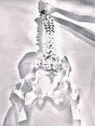 8th Feb 2022 - Spinal Art? 