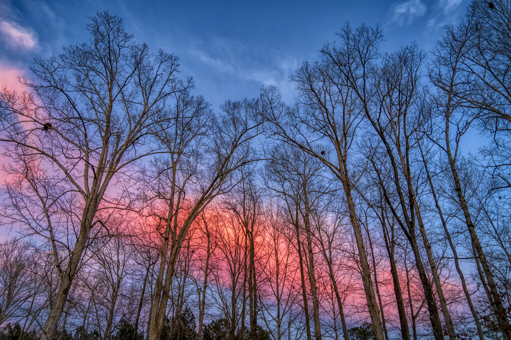 Sensational Sunset by kvphoto