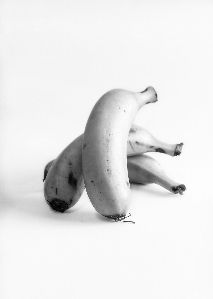 Bananas  by salza