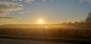 16th Jan 2022 - Foggy sunrise