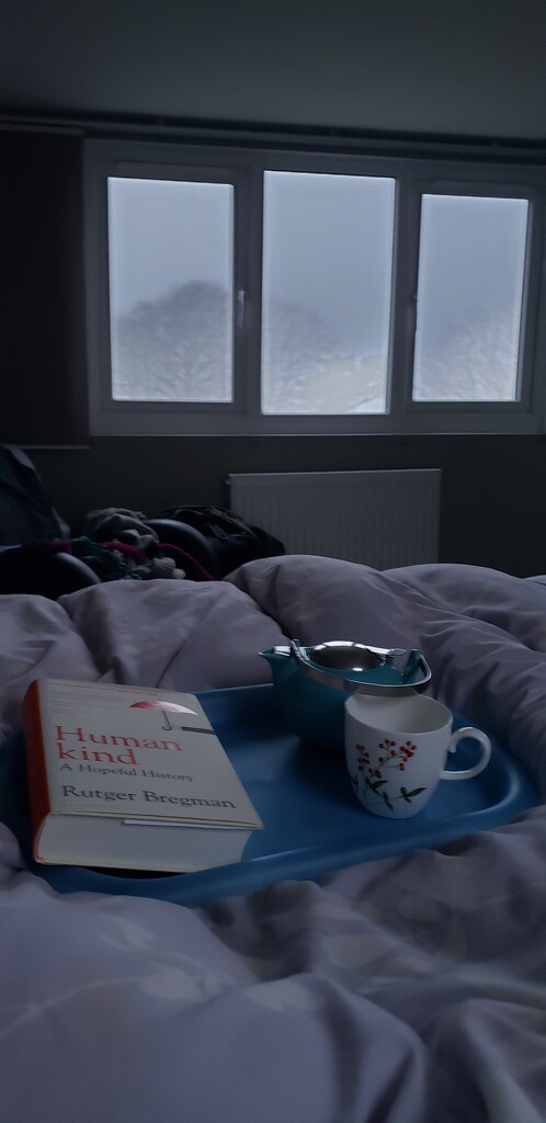 Perfect winter weekend morning by shine365