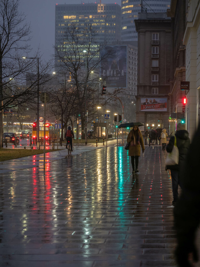 City in the rain  by haskar