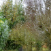 Rainy day by parisouailleurs