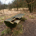 02-08 - Rotten Bench by talmon